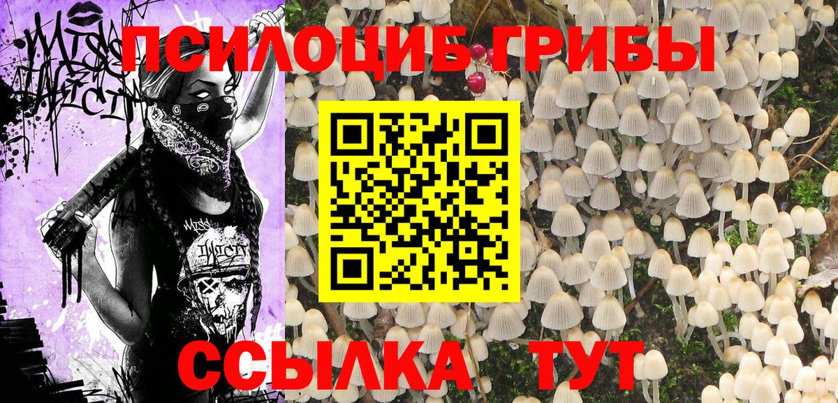 Псилоцибиновые грибы GOLDEN TEACHER  Вход с VPN  магазин    Анжеро-Судженск 